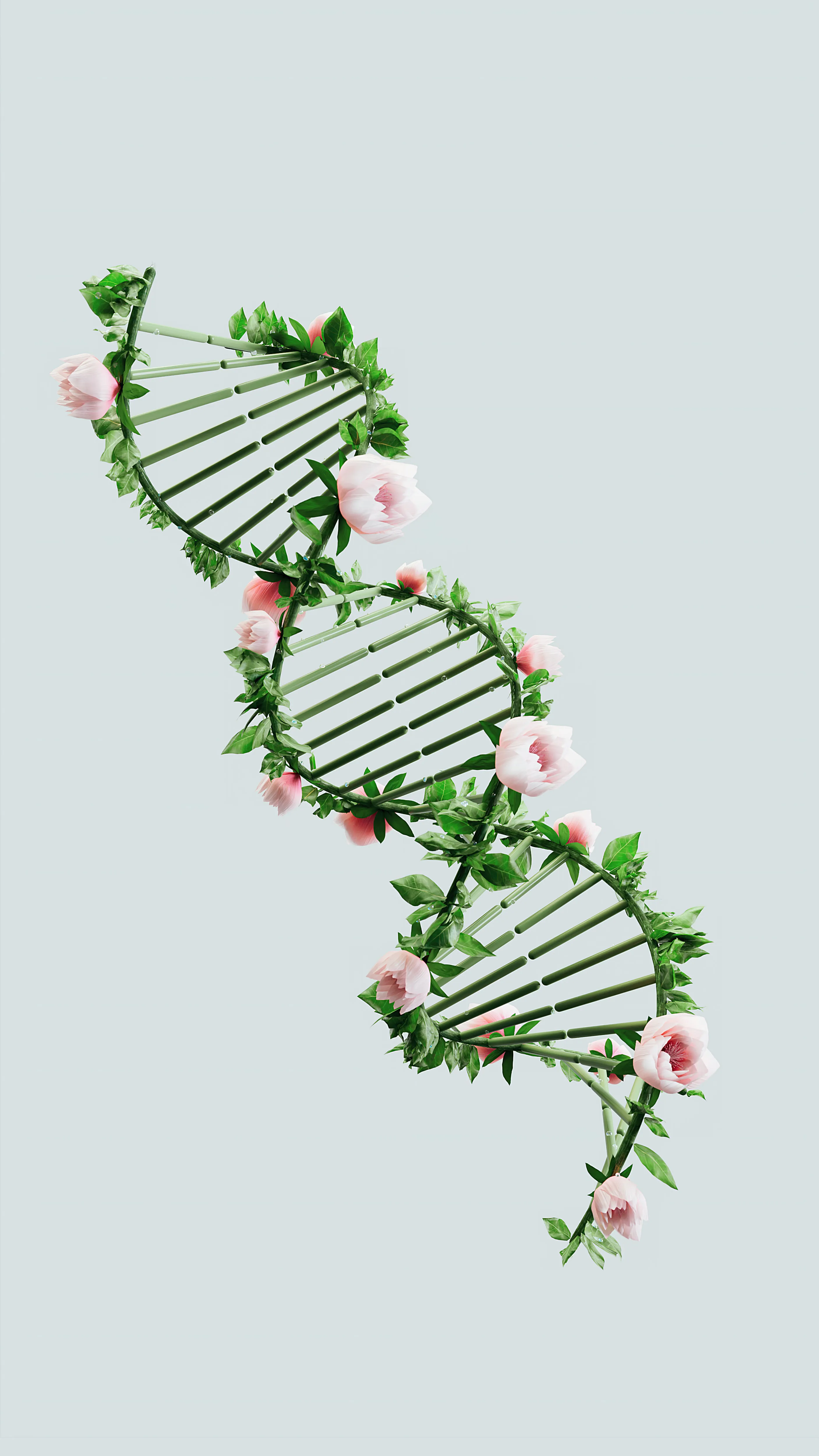 Illustration of a DNA double helix intertwined with roses